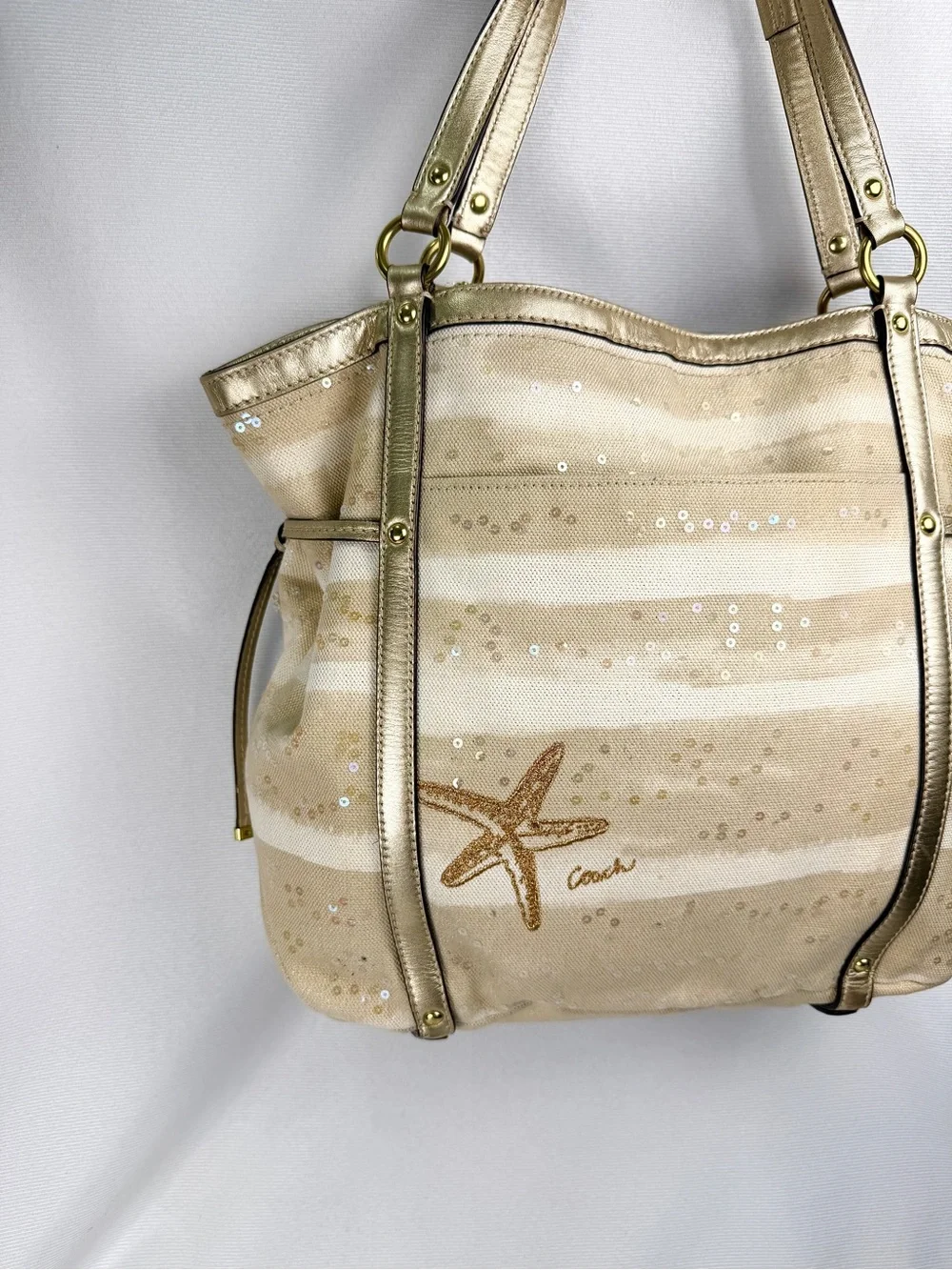 Coach Audrey Sun Limited Edition Shoulder Bag (19577)